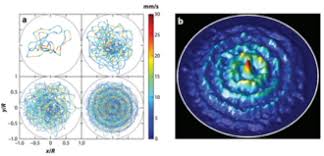 Pilot Wave Theory
