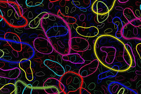String Theory